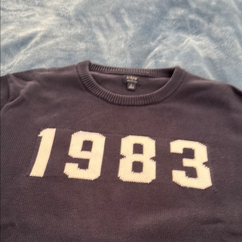 J. Crew Blue and White Crewneck Sweater